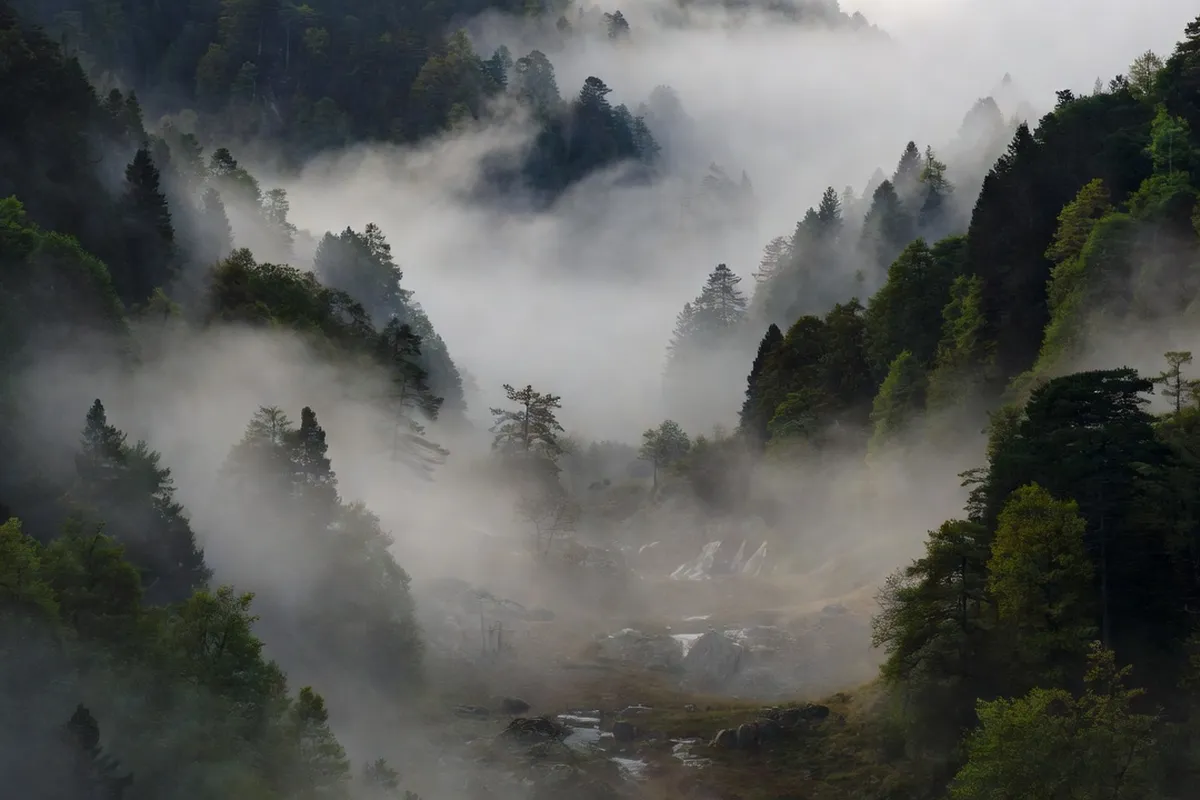 Brouillard de combe typique du relief jurassien au petit matin